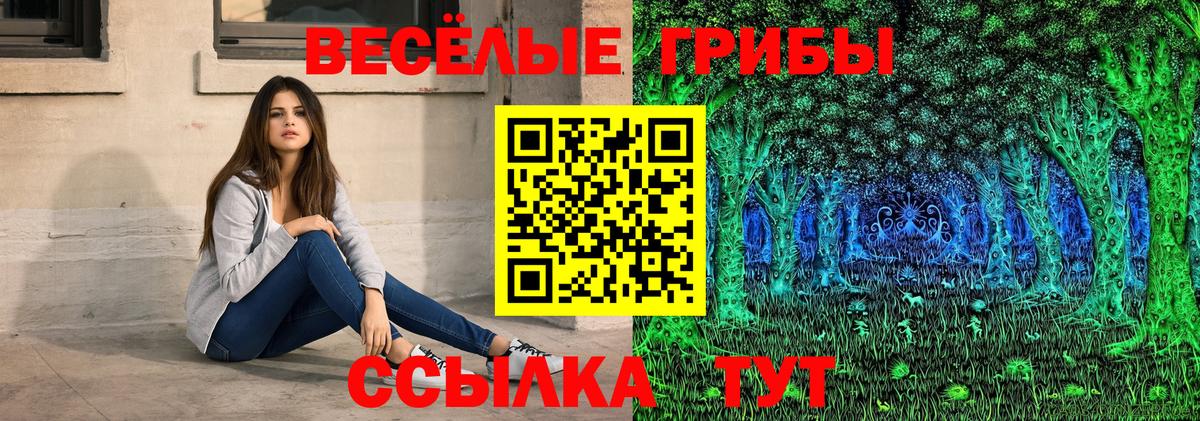 Псков  Галлюциногенные грибы Psilocybe  цены   Вход с VPN  Галлюциногенные грибы Psilocybe 